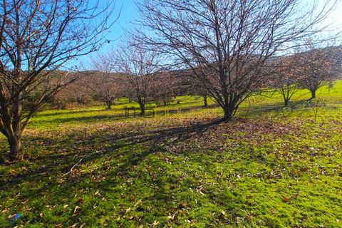 Farm i Amarante, Porto, Amarante - € 240.000 | Ref: 00629FR - foto 38
