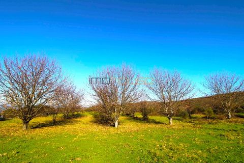 Farm i Amarante, Porto, Amarante - € 240.000 | Ref: 00629FR - foto 39
