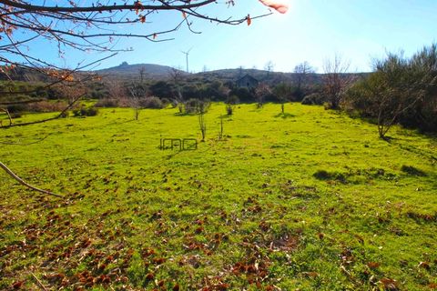 Farm i Amarante, Porto, Amarante - € 240.000 | Ref: 00629FR - foto 40