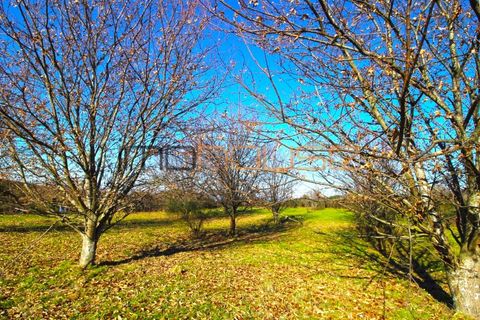 Farm i Amarante, Porto, Amarante - € 240.000 | Ref: 00629FR - foto 36