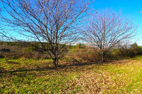 Farm i Amarante, Porto, Amarante - € 240.000 | Ref: 00629FR - foto 37