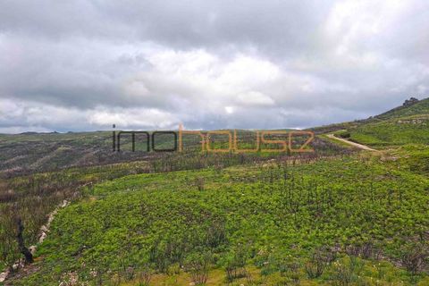 Farm i Amarante, Porto, Amarante - € 240.000 | Ref: 00629FR - foto 2