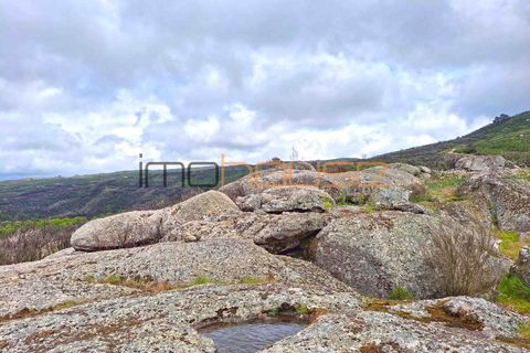 Farm i Amarante, Porto, Amarante - € 240.000 | Ref: 00629FR - foto 48