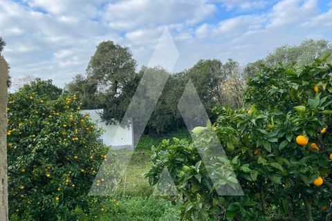 Helårsgrund i Seixal, Setubal, Seixal - € 90.000 | Ref: 1210432/23SX - foto 4