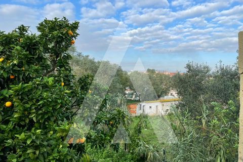 Helårsgrund i Seixal, Setubal, Seixal - € 90.000 | Ref: 1210432/23SX - foto 5