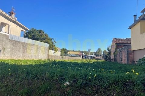Helårsgrund i Agueda, Aveiro, Agueda - € 27.000 | Ref: 23007 - foto 2