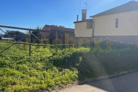 Helårsgrund i Agueda, Aveiro, Agueda - € 27.000 | Ref: 23007 - foto 3