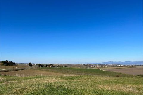 Terra a Paciano, Perugia, Paciano - € 55.000 | Ref: TE21 - foto 2