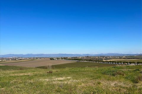 Terra a Paciano, Perugia, Paciano - € 55.000 | Ref: TE21 - foto 3