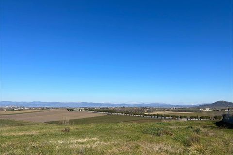 Terra a Paciano, Perugia, Paciano - € 55.000 | Ref: TE21 - foto 4