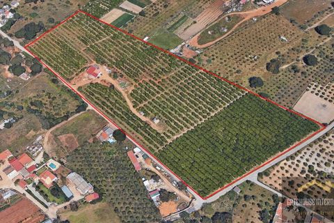 Helårsgrund i Quarteira, Faro, Quarteira - € 2.200.000 | Ref: xtp_0048 - foto 21