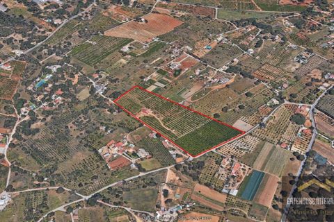 Helårsgrund i Quarteira, Faro, Quarteira - € 2.200.000 | Ref: xtp_0048 - foto 22