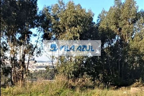 Helårsgrund i Maia, Porto, Maia - € 580.000 | Ref: 12608004 - foto 6