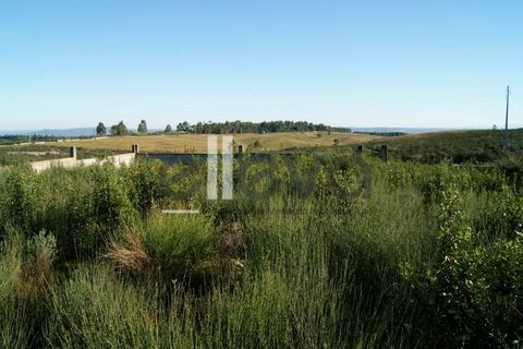 Helårsgrund i Castelo Branco, Castelo Branco, Castelo Branco - € 42.000 | Ref: 3630 - foto 2