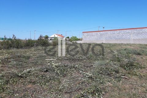Helårsgrund i Castelo Branco, Castelo Branco, Castelo Branco - € 42.000 | Ref: 3630 - foto 5