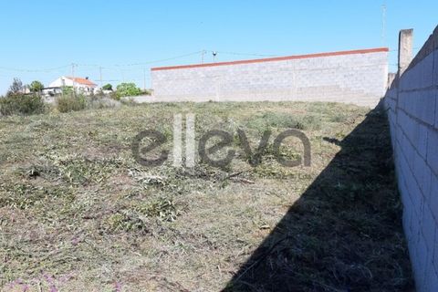 Helårsgrund i Castelo Branco, Castelo Branco, Castelo Branco - € 42.000 | Ref: 3630 - foto 6