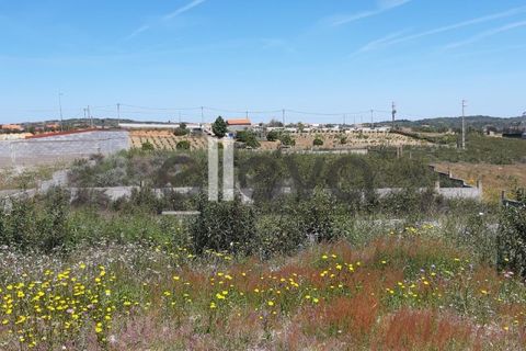 Helårsgrund i Castelo Branco, Castelo Branco, Castelo Branco - € 42.000 | Ref: 3630 - foto 7