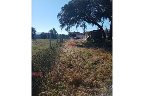 Villa a Asseiceira, Santarem, Asseiceira - € 190.000 | Ref: TPH001-267 - foto 4