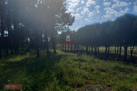 Villa i Pataias, Leiria, Pataias - € 350.000 | Ref: TPH228-10 - foto 17