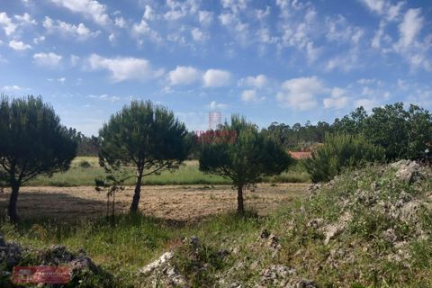 Villa i Pataias, Leiria, Pataias - € 350.000 | Ref: TPH228-10 - foto 18