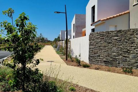 Terra a Vias, Herault, Vias - € 102.000 | Ref: 34B-FTLONGUET2 - foto 3