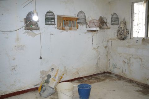 Stadthaus in Olvera, Cadiz, Olvera - € 60.000 | Ref: z484 - Foto 7