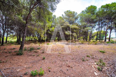 Villa i Moraira, Alicante, Moraira - € 1.690.000 | Ref: VMR2005 - foto 9