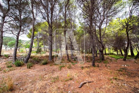 Villa i Moraira, Alicante, Moraira - € 1.690.000 | Ref: VMR2003 - foto 9