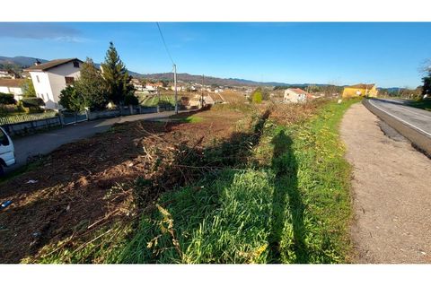 Helårsgrund i Ponte de Lima, Viana do Castelo, Ponte de Lima - € 42.000 | Ref: MNC1333T - foto 2