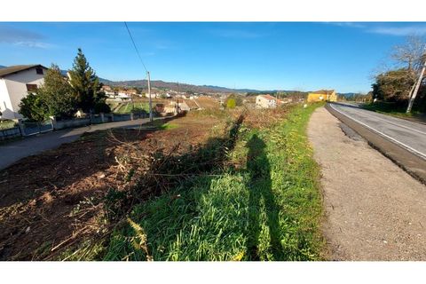 Helårsgrund i Ponte de Lima, Viana do Castelo, Ponte de Lima - € 42.000 | Ref: MNC1333T - foto 3