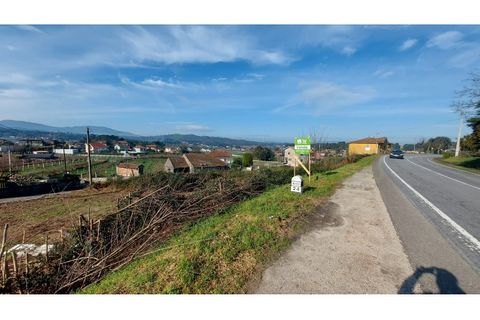 Helårsgrund i Ponte de Lima, Viana do Castelo, Ponte de Lima - € 42.000 | Ref: MNC1333T - foto 4