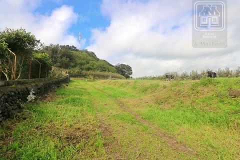 Terra a Sao Roque, Madeira, Sao Roque - € 295.000 | Ref: 1730 - foto 9