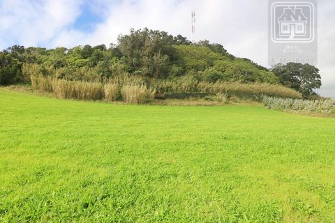 Terra a Sao Roque, Madeira, Sao Roque - € 295.000 | Ref: 1730 - foto 13