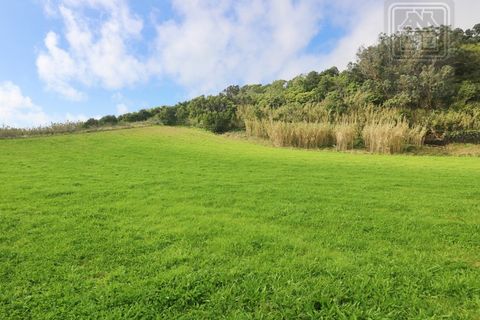 Terra a Sao Roque, Madeira, Sao Roque - € 295.000 | Ref: 1730 - foto 14