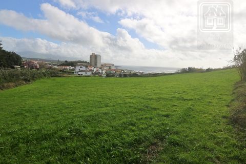 Terra a Sao Roque, Madeira, Sao Roque - € 295.000 | Ref: 1730 - foto 15