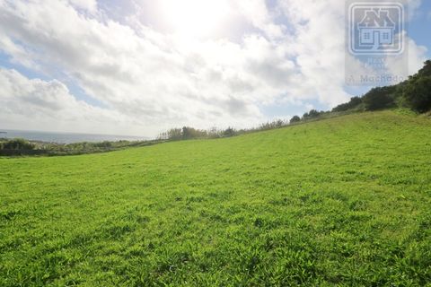 Terra a Sao Roque, Madeira, Sao Roque - € 295.000 | Ref: 1730 - foto 17