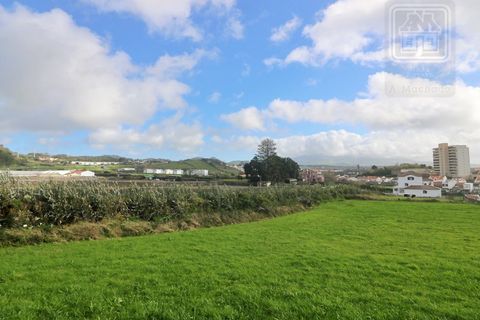 Terra a Sao Roque, Madeira, Sao Roque - € 295.000 | Ref: 1730 - foto 18