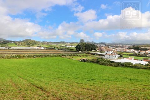 Terra a Sao Roque, Madeira, Sao Roque - € 295.000 | Ref: 1730 - foto 19