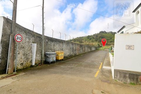 Terra a Sao Roque, Madeira, Sao Roque - € 295.000 | Ref: 1730 - foto 24