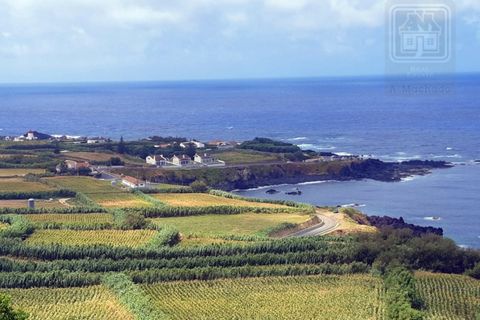 Terra a Mosteiros, Sao Miguel, Mosteiros - € 250.000 | Ref: 1932 - foto 16