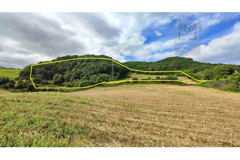 Terra a Sao Roque, Madeira, Sao Roque - € 120.000 | Ref: 3145 - foto 2