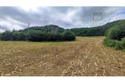 Terra a Sao Roque, Madeira, Sao Roque - € 120.000 | Ref: 3145 - foto 4