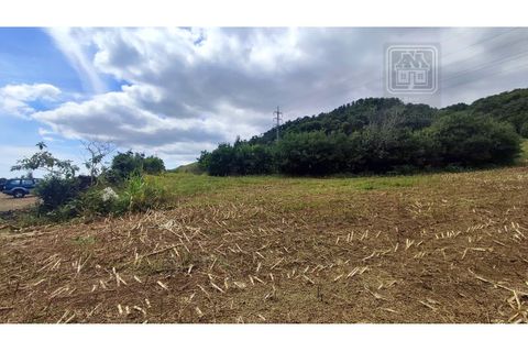 Terra a Sao Roque, Madeira, Sao Roque - € 120.000 | Ref: 3145 - foto 5