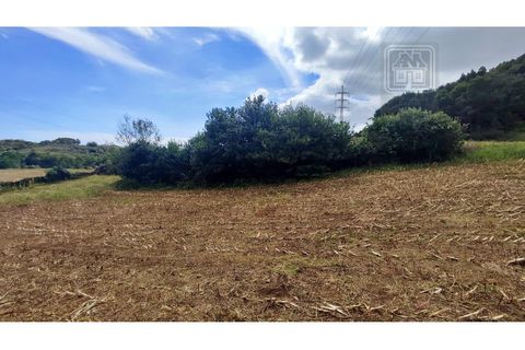 Terra a Sao Roque, Madeira, Sao Roque - € 120.000 | Ref: 3145 - foto 6