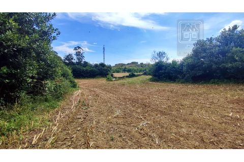 Terra a Sao Roque, Madeira, Sao Roque - € 120.000 | Ref: 3145 - foto 7