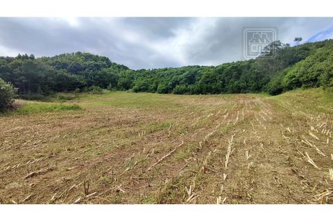 Terra a Sao Roque, Madeira, Sao Roque - € 120.000 | Ref: 3145 - foto 8