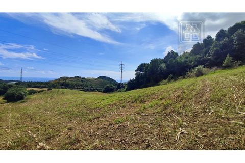 Terra a Sao Roque, Madeira, Sao Roque - € 120.000 | Ref: 3145 - foto 9