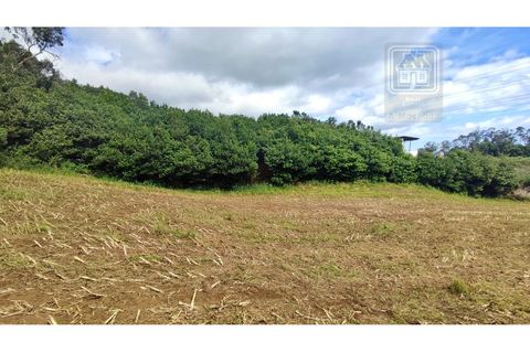 Terra a Sao Roque, Madeira, Sao Roque - € 120.000 | Ref: 3145 - foto 11