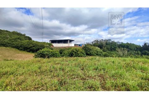 Terra a Sao Roque, Madeira, Sao Roque - € 120.000 | Ref: 3145 - foto 12