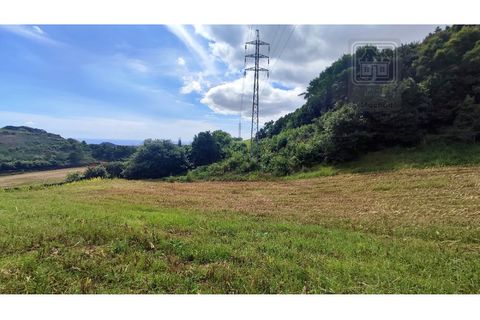 Terra a Sao Roque, Madeira, Sao Roque - € 120.000 | Ref: 3145 - foto 14